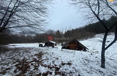 IMG_3882.jpeg