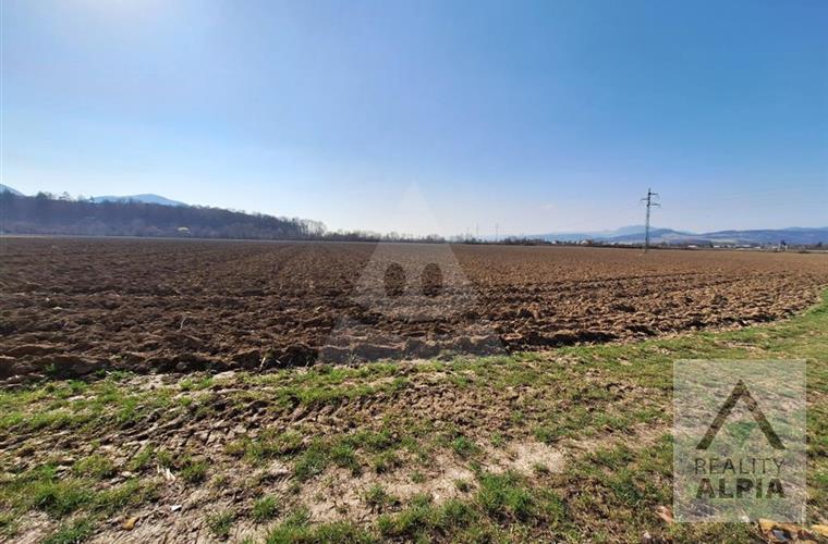 Arable land, Sale, Beluša