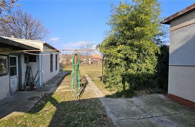 IMG-20250219-WA0019