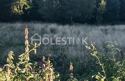 Wiese, Weide, Verkauf (Angebot), Skalité - Serafínov