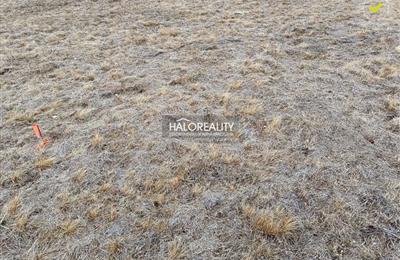 Rekreačný pozemok, Predaj, Nálepkovo - Nálepkovo