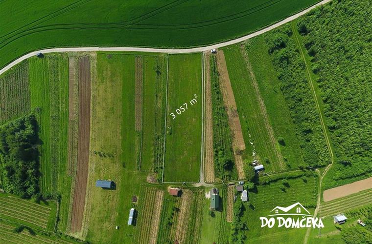 Hop garden, vineyard, Sale, Topoľčianky - Topoľčianky