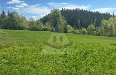 Rekreační pozemek, Prodej, Vysoká nad Kysucou