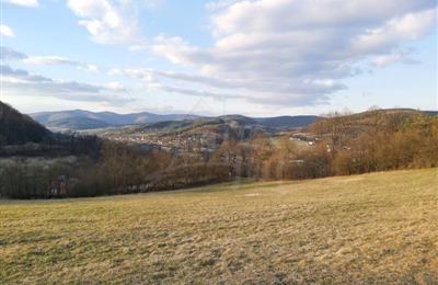 Mező, legelő, Eladás, Púchov