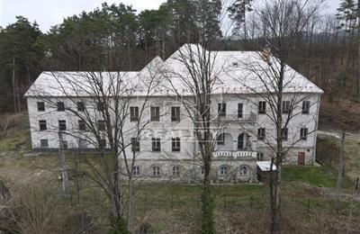 BUSINESS- AND SERVICES-RELATED BUILDINGS, Sale, Domaniža
