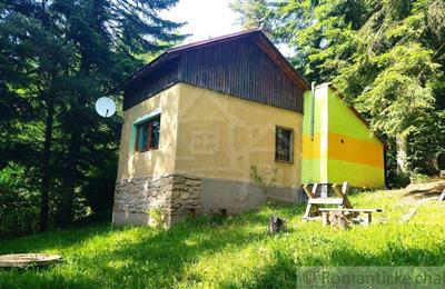 Bauernhaus, Ferienhaus, Verkauf (Angebot), Drienica
