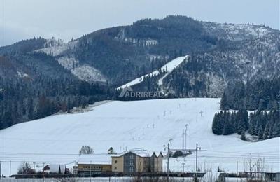 IMG_5982.jpg