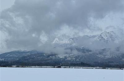 IMG_5975.jpg