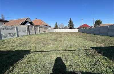 Pozemok pre rodinné domy, Predaj, Palárikovo